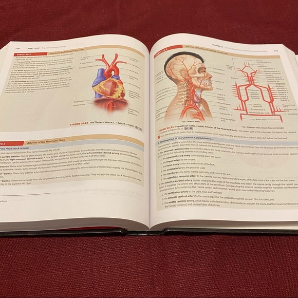 Other Anatomy Physiology By Saladin 7th Ed Poshmark